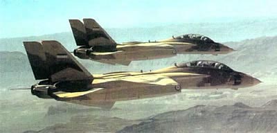 پرونده:ImperialIranianAirForceF14a.jpg