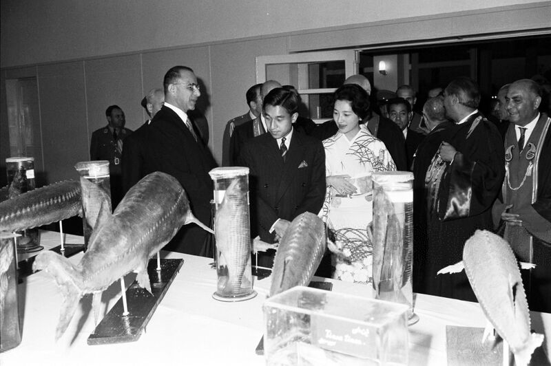 پرونده:CrownPrinceAkihito PrincessMichikoٰTehranUniversity1339a.jpg