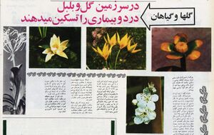 SpringInIran2535d.jpg