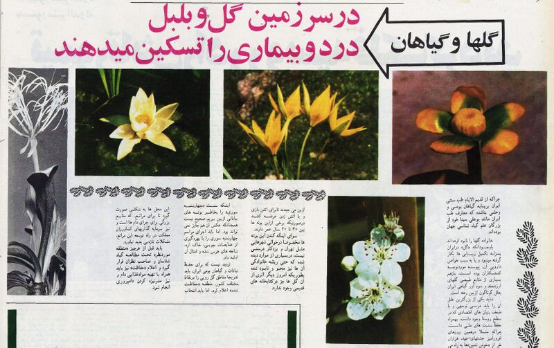 پرونده:SpringInIran2535d.jpg