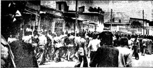 Chaos1357Shiraz570522 5a.jpg