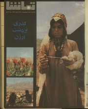 → صفحهٔ قبلی