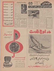 صفحهٔ بعدی ←