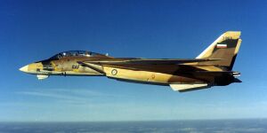 ImperialIranianAirForceF14.jpg