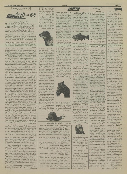 پرونده:Ettelaat13350429.pdf