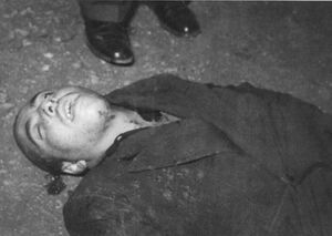 TerroristEslamiMohammadVahediExecuted.jpg