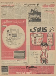 صفحهٔ بعدی ←