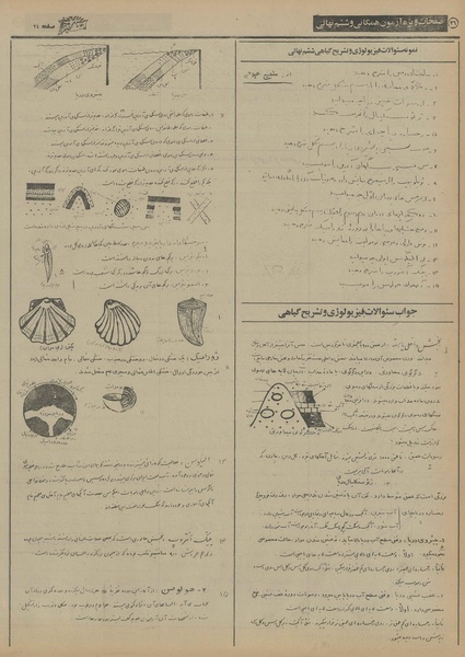 پرونده:Ettelaat13550208.pdf