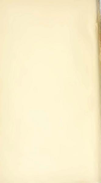 پرونده:Yearamongv2.pdf