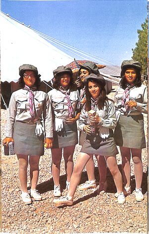 ScoutGirls2500ShahanshahiFestival.jpg