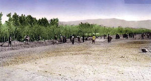 Old Shemiran Road.jpg