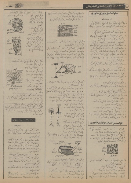 پرونده:Ettelaat13550206.pdf