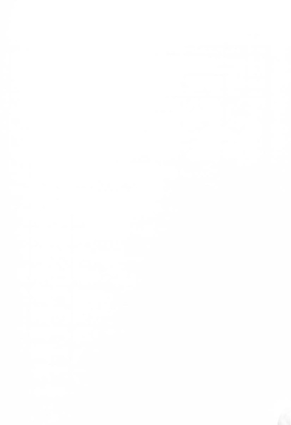 پرونده:Majlis Melli 2o.pdf