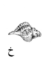 دانشنامه مصور موسيقي ايران خ .PDF