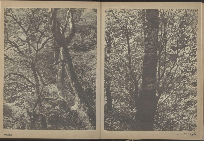 پرونده:Tamasha13510630.pdf