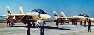 FirstF14DeliveredJan19768thBaseAirForce.jpg