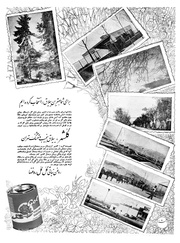 صفحهٔ بعدی ←