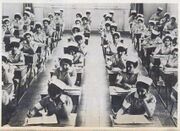 Red Lion and Sun Society of Iran4.jpg