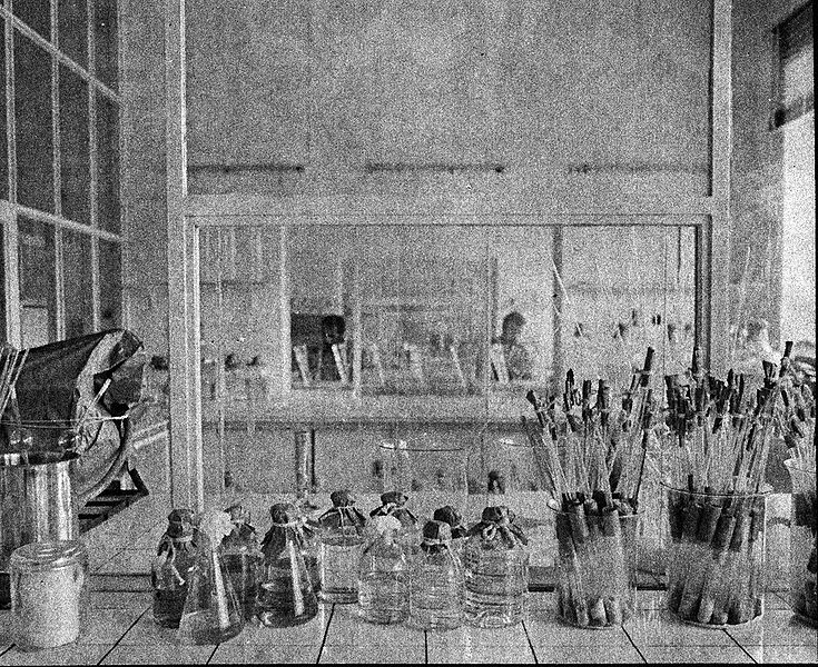 پرونده:Razi Institute.jpg