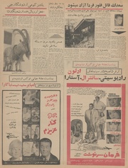 صفحهٔ بعدی ←