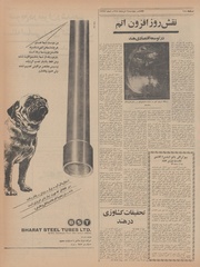 صفحهٔ بعدی ←