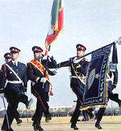 CoronationShahanshashArteshParade1346b.jpg