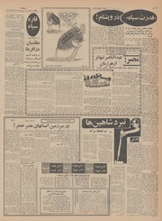 صفحهٔ بعدی ←