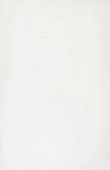 پرونده:Persiav2.pdf